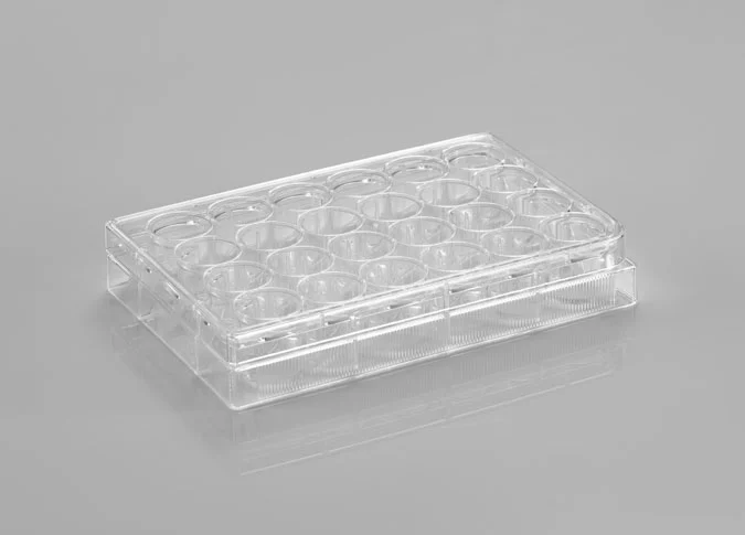 spl cell culture plate