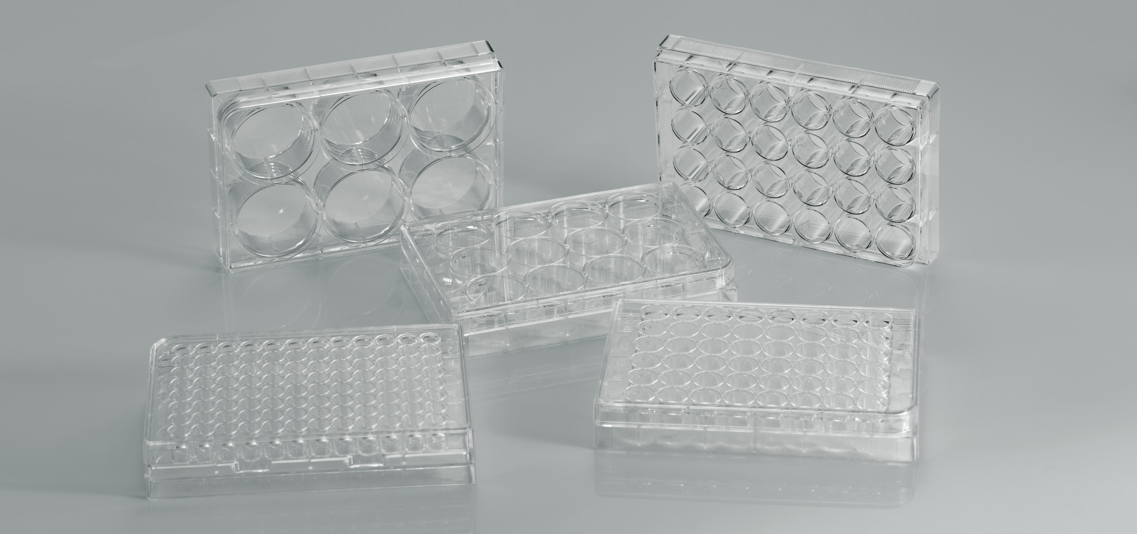 Cell Culture Plate