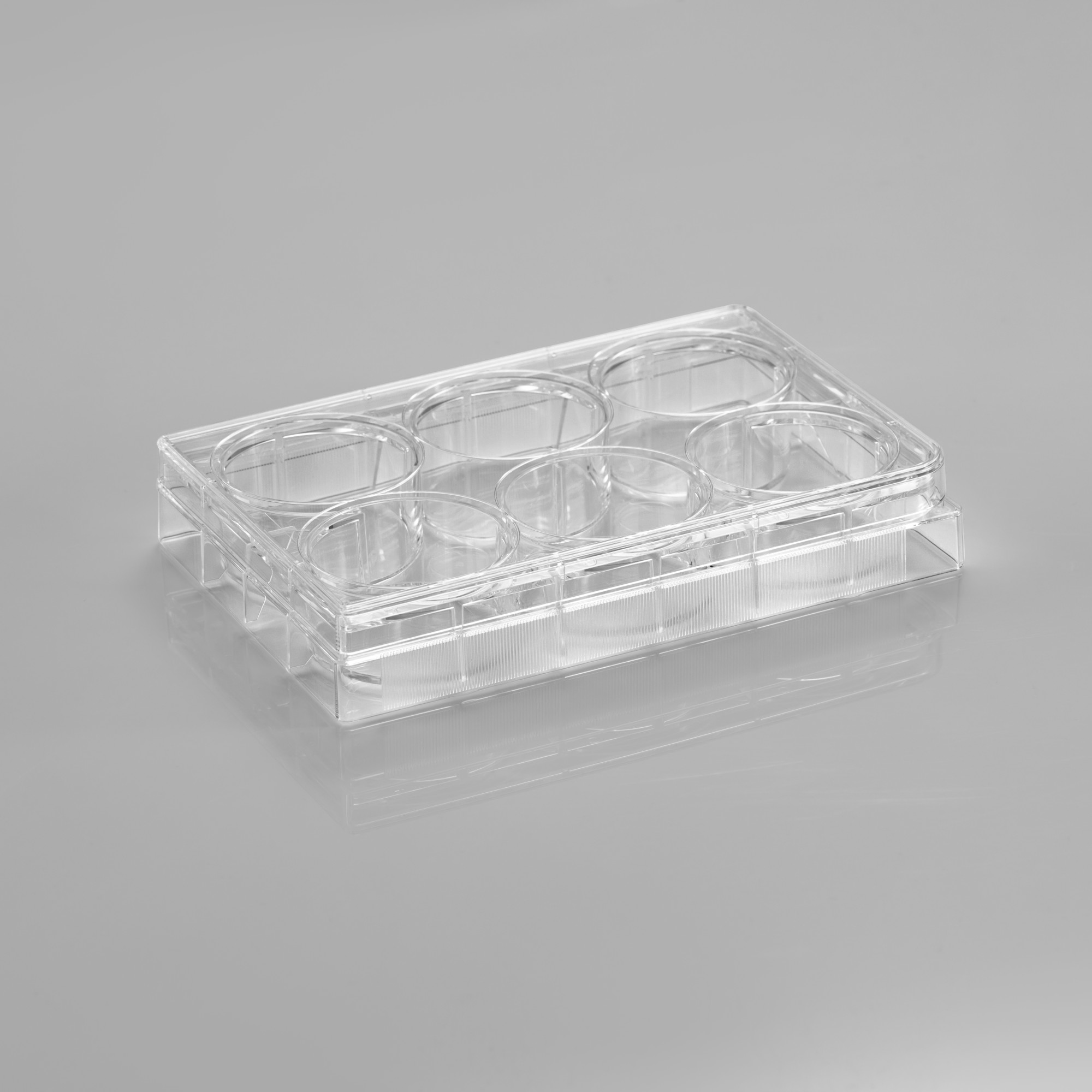 CL-PL006