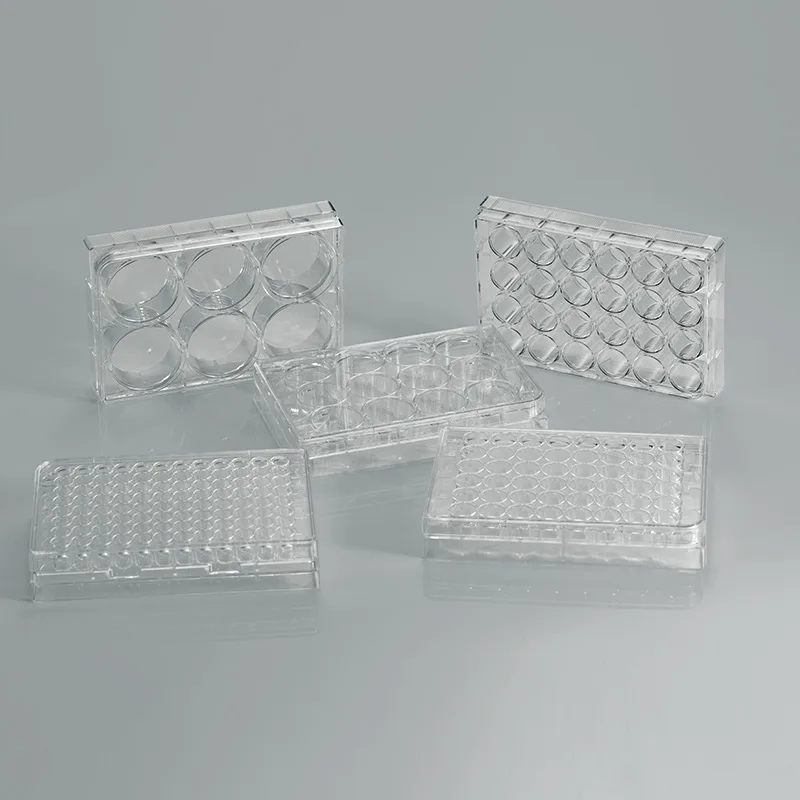 Cell Culture Plate