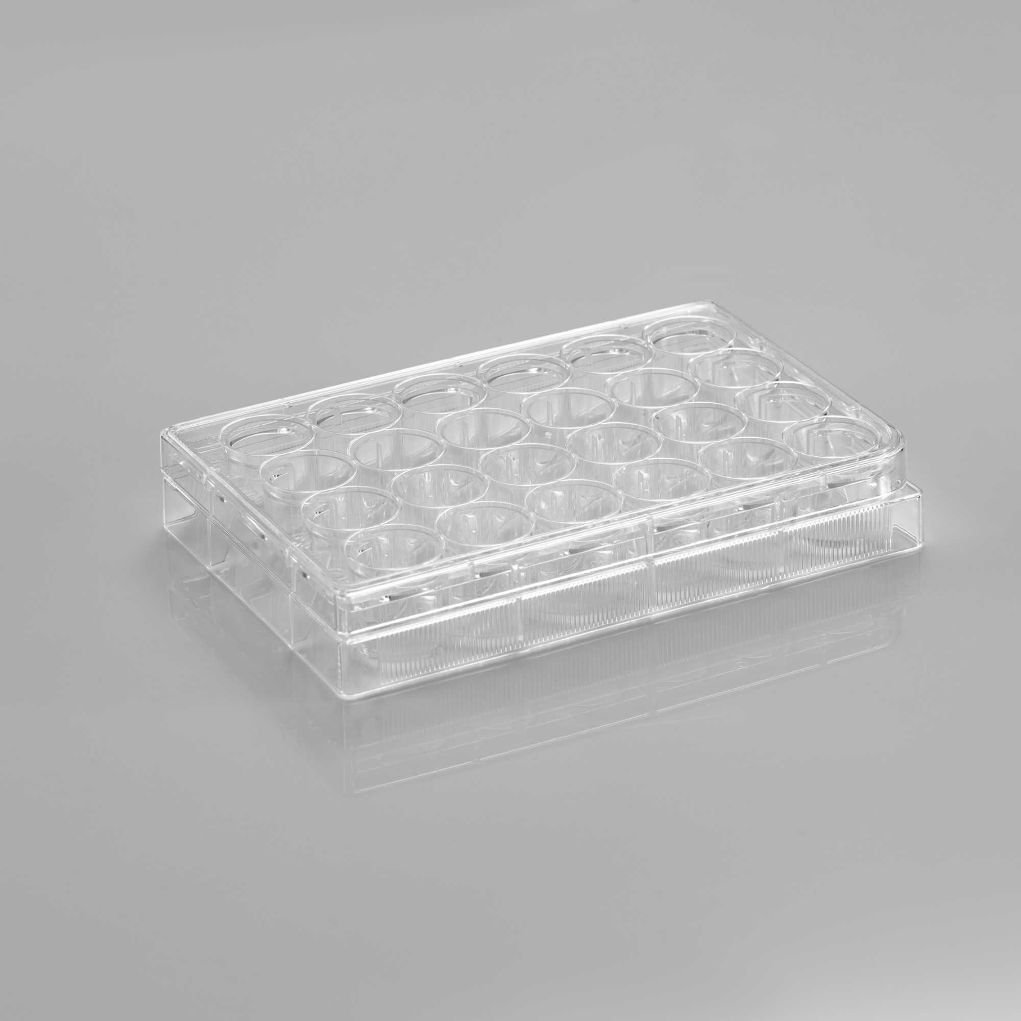 CL-PP024