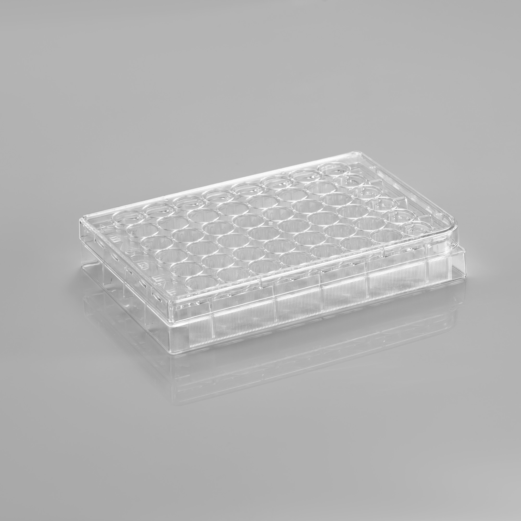 CL-PT048