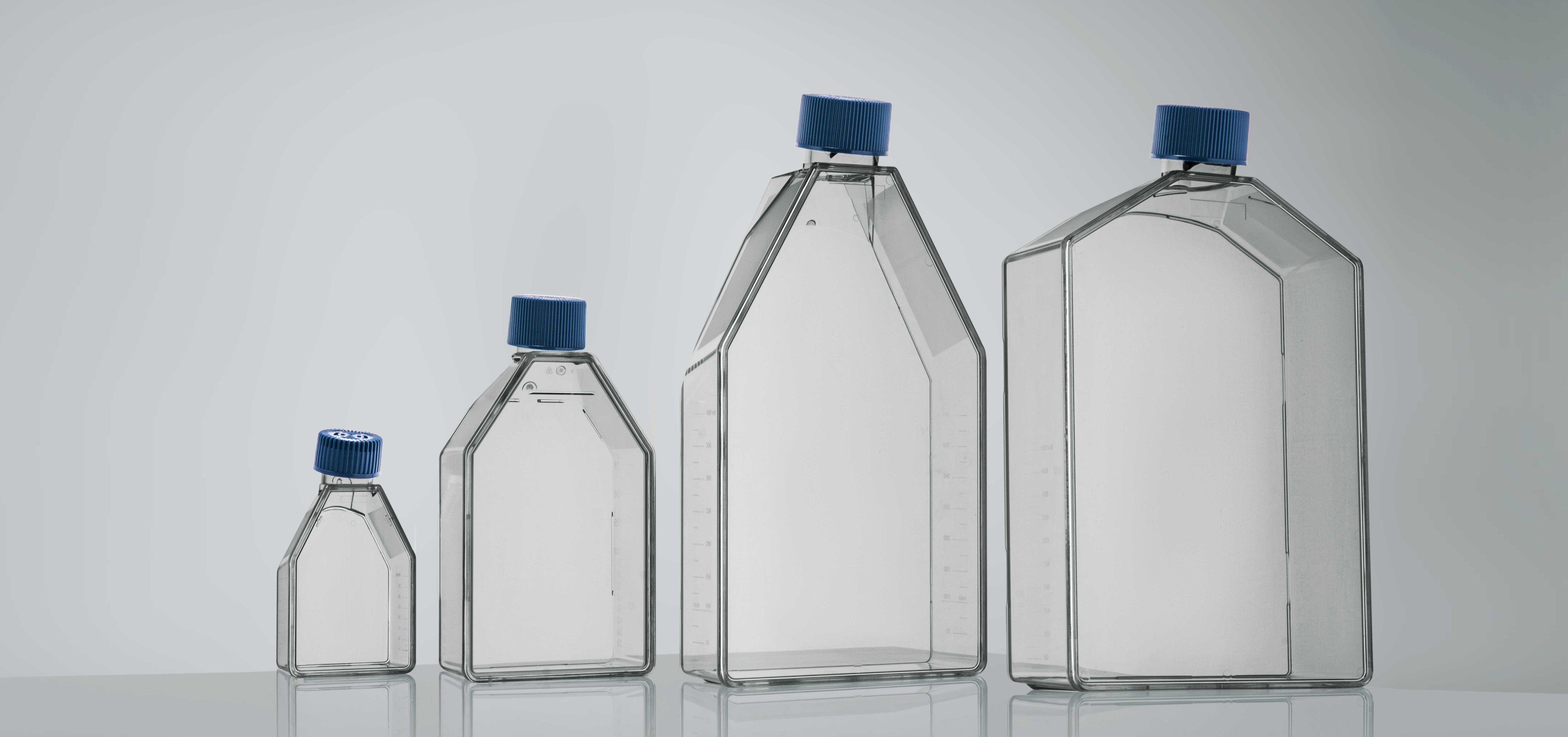  Cell Culture Flask