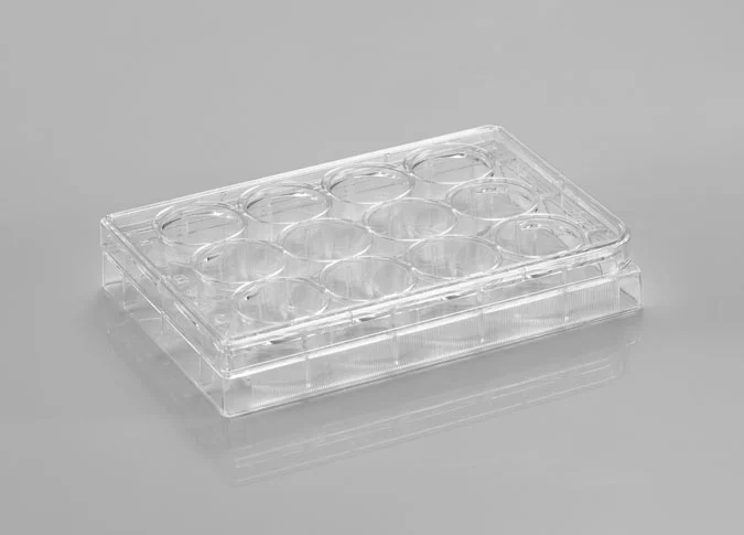 CL-P024 24 Well Cell Culture Plate