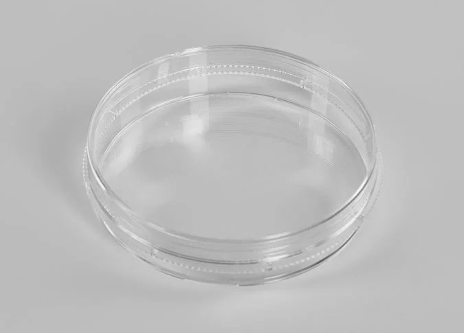 35mm glass bottom dishes