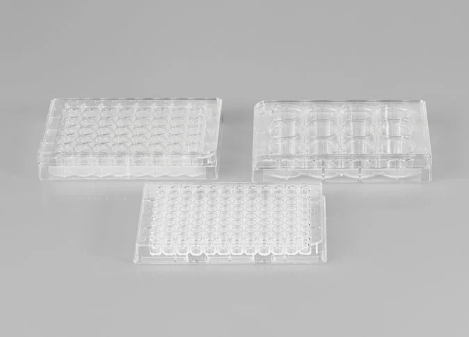 CL-P048 48 Well Cell Culture Plate