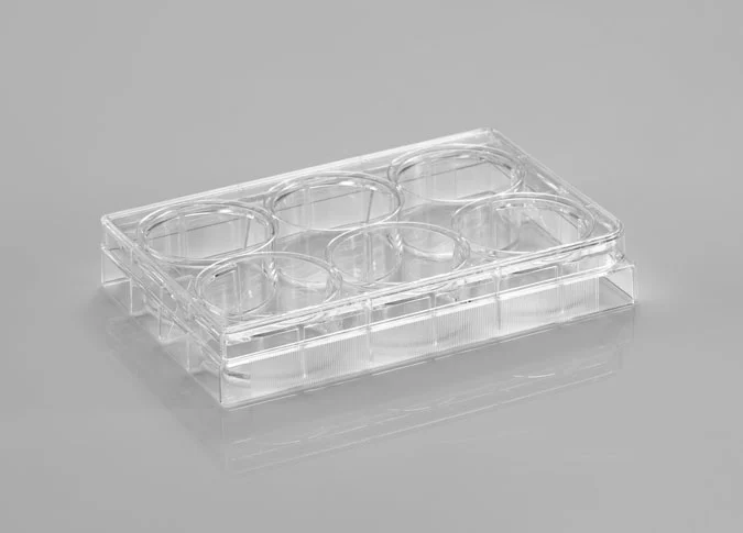 CL-P006 6 Well Cell Culture Plate