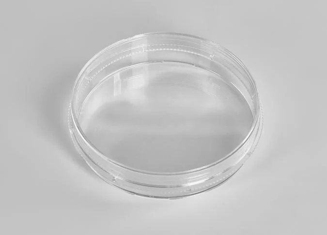 cell culture petri dish