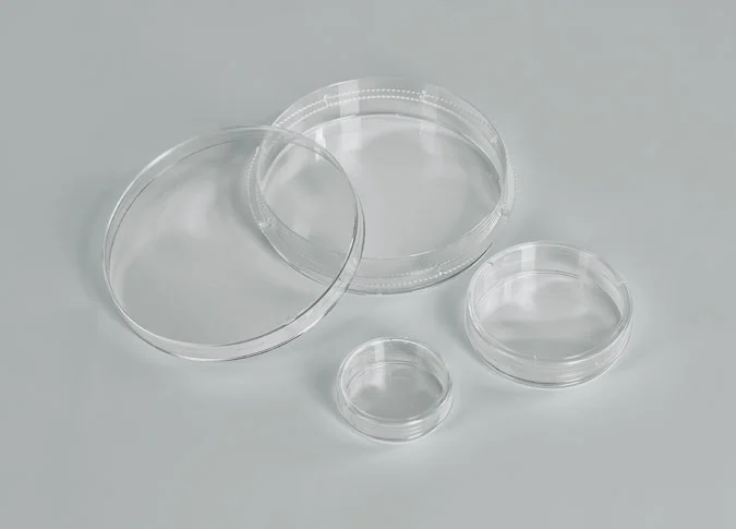 glass bottom petri dish