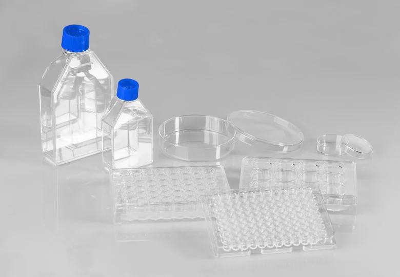 Cell Culture Flask